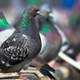 Imagen: Fursteff / Shutterstock